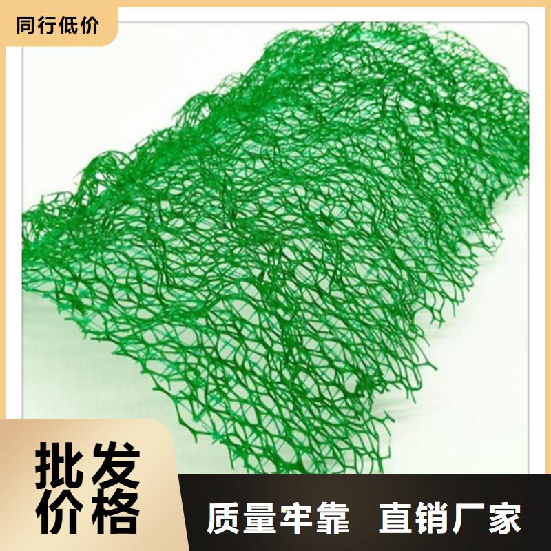 三维植被网水泥化粪池精选优质材料