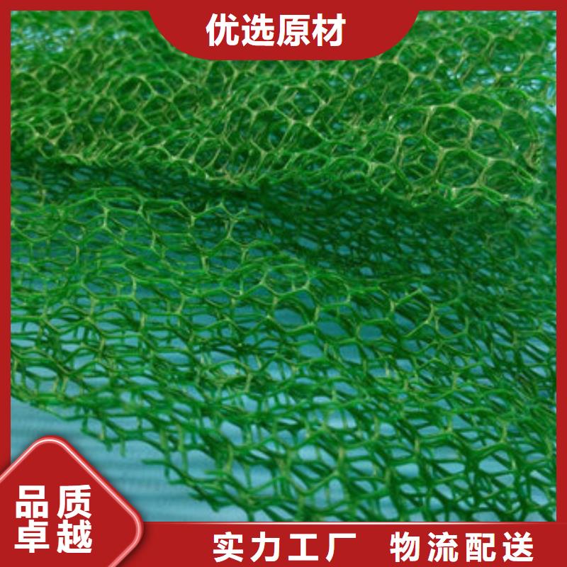 【三维植被网-排水板适用范围广】