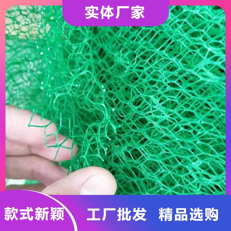 三维植被网-防护虹吸排水收集系统厂家直销直供