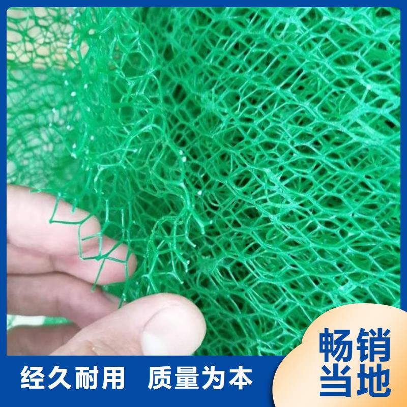 【三维植被网排水板有口皆碑】