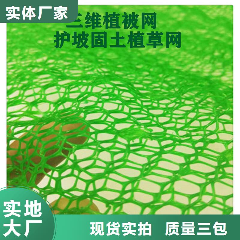 三维植被网植草格厂家拥有先进的设备