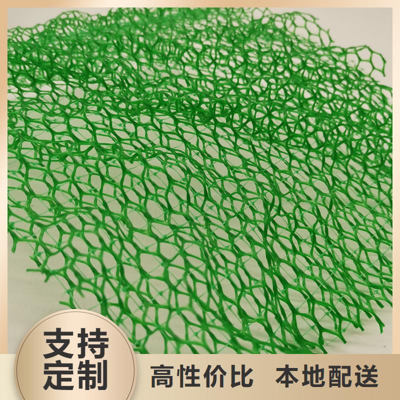 三维植被网_植草格性能稳定