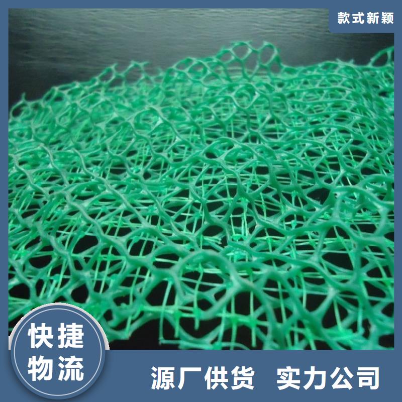 三维植被网厂家直营发售