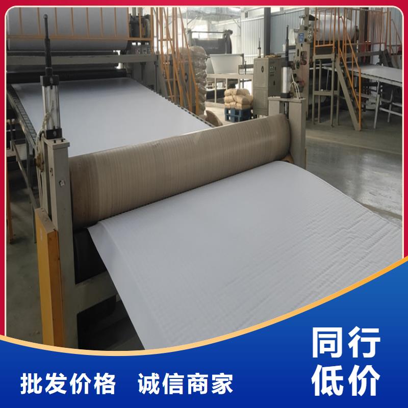 排水板复合土工膜专业完善售后