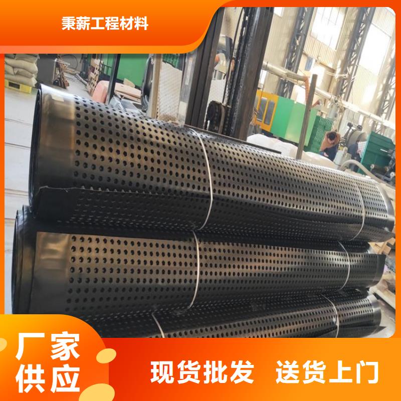 排水板三维植被网价格公道合理