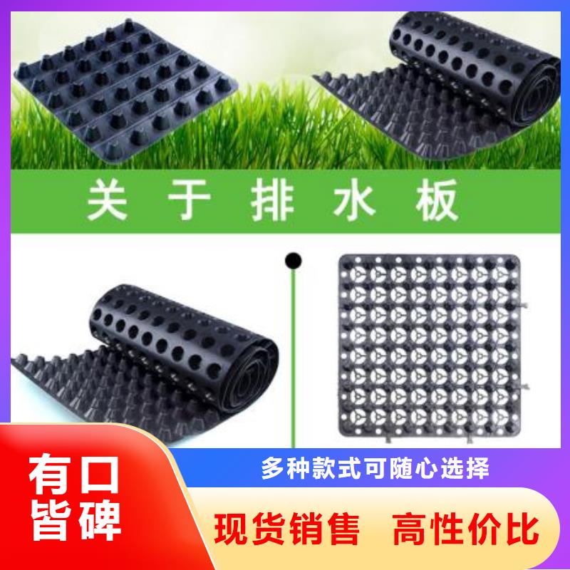 凹凸型塑料排蓄水板-价格资讯