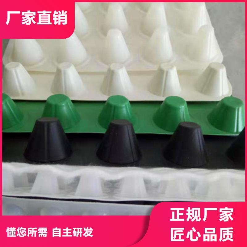 塑料排水板-价格优惠