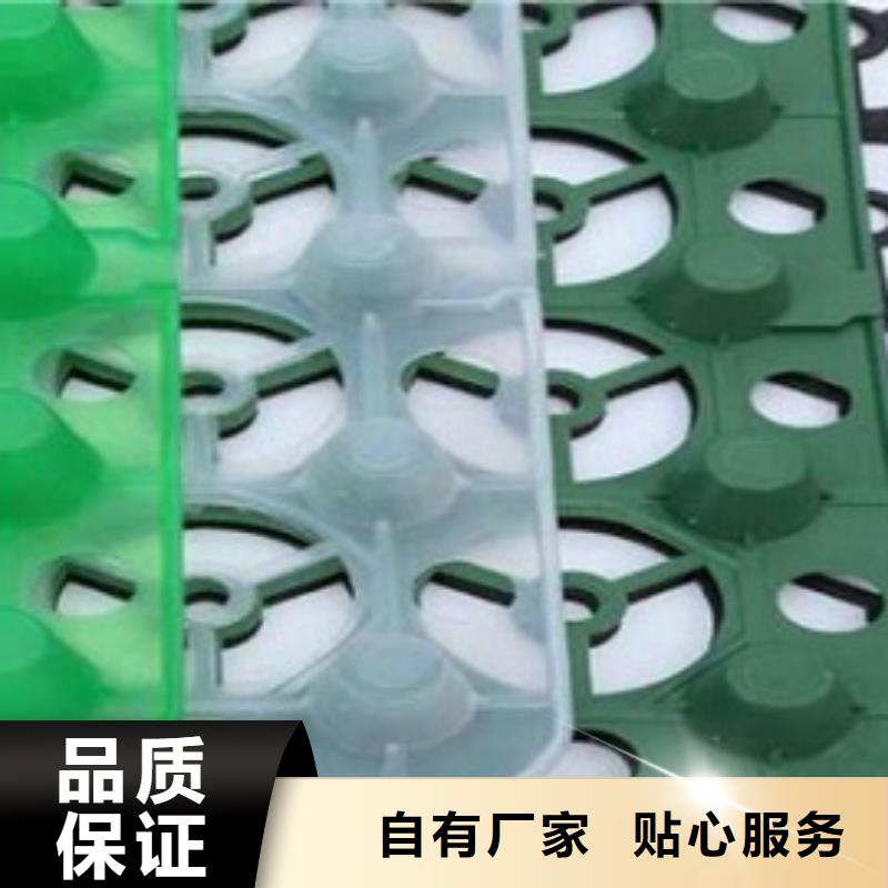 排水板土工膜一站式采购方便省心