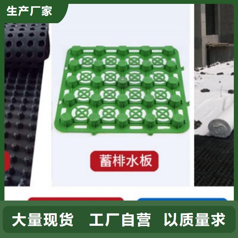 塑料盲沟,滤水板厂家质量过硬