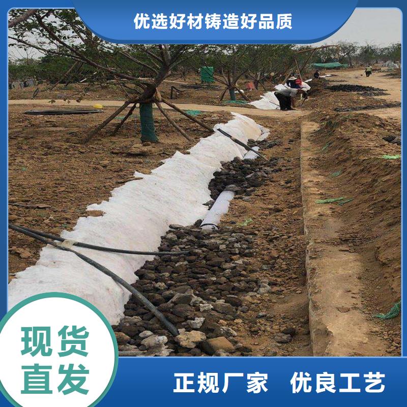 塑料盲管品牌厂家价格