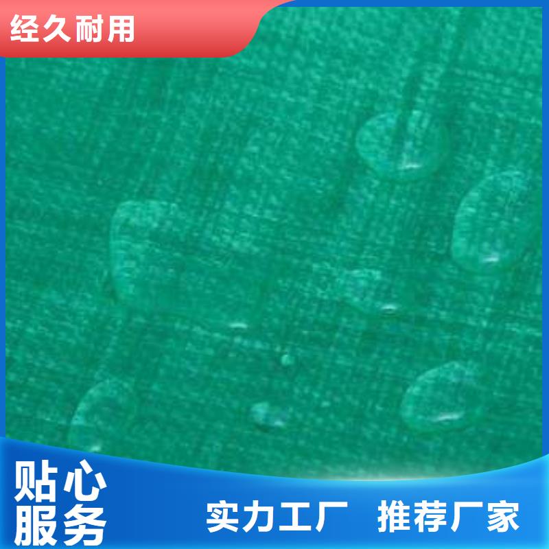 防雨布-双覆膜彩条布出货及时