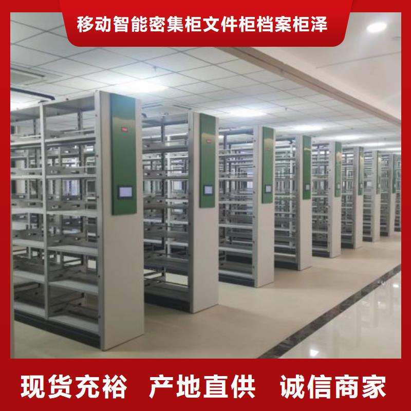 维修保养【泽信】双柱密集架