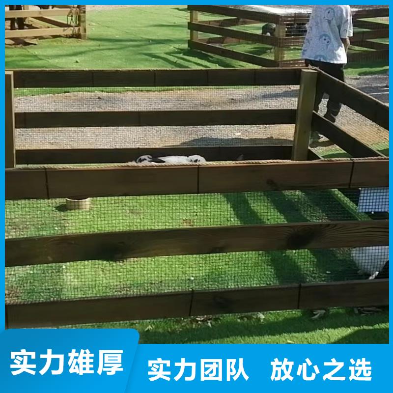 马戏团/羊驼【美人鱼出租演出】讲究信誉