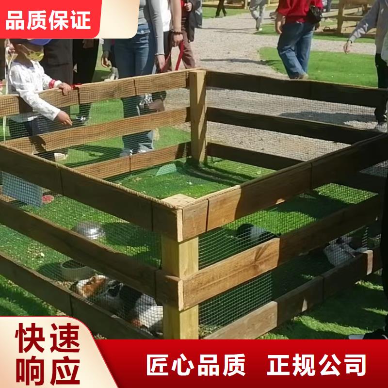 马戏团/羊驼企鹅租赁2025公司精心