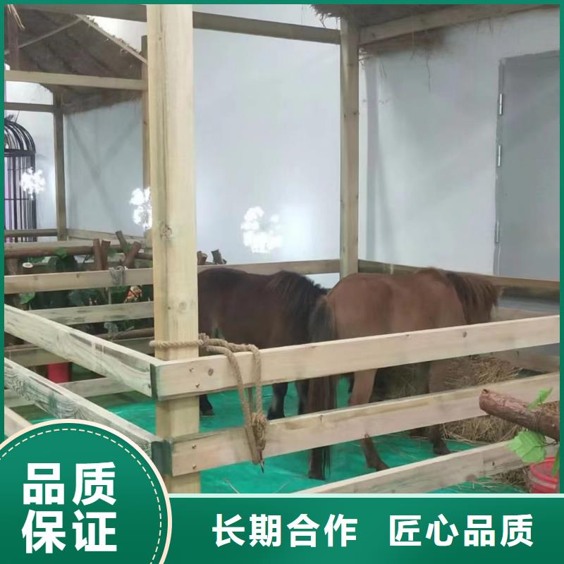 【马戏团/羊驼】-海狮表演出租实力商家|文圣|宏伟|阜新|沈阳|盘锦|营口厂家