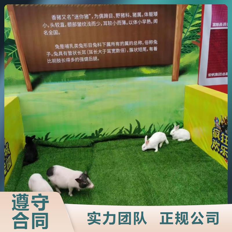 马戏团/羊驼【出租海狮表演】专业品质