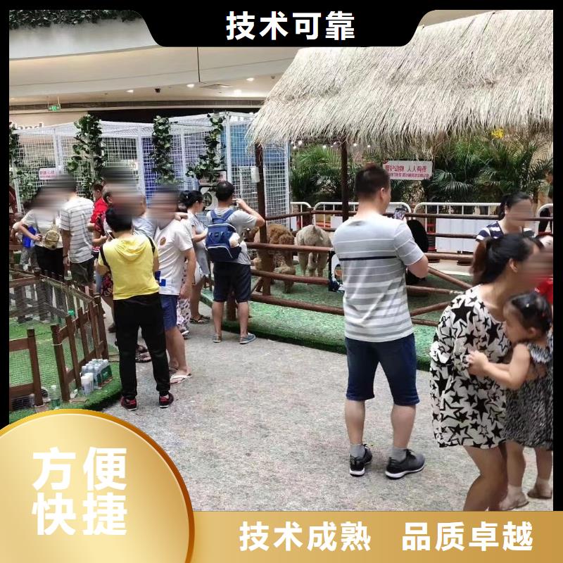 马戏团/羊驼【出租海狮表演】专业品质