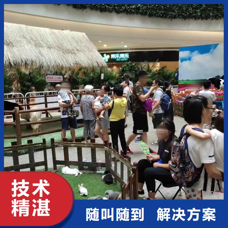 马戏团/羊驼-美人鱼表演出租服务至上