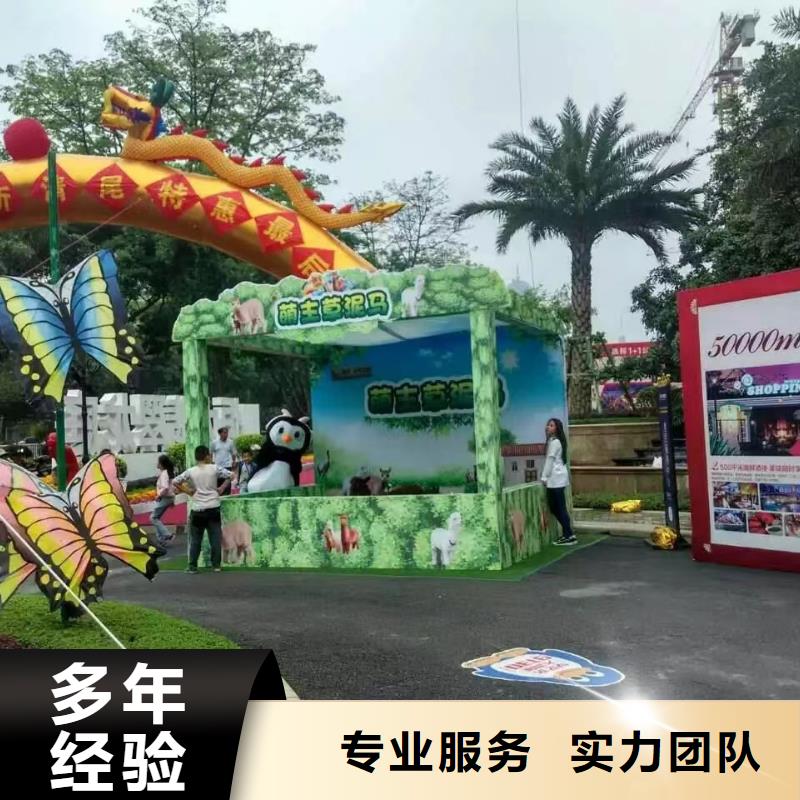 马戏团/羊驼羊驼出租比同行便宜