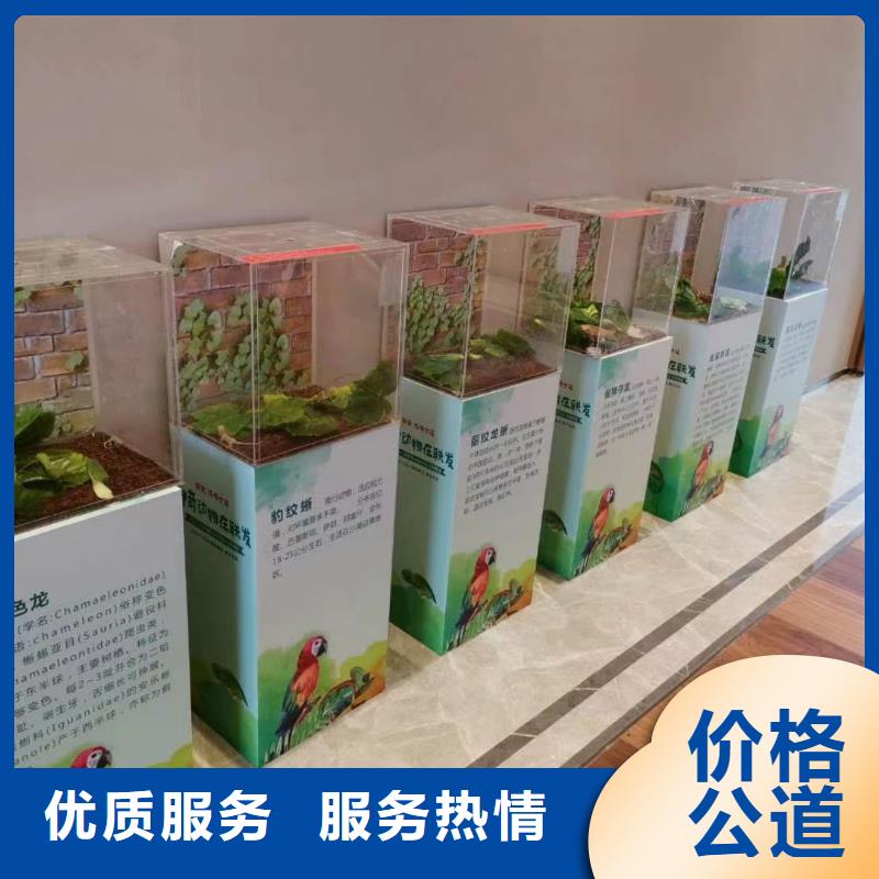 马戏团/羊驼 羊驼出租口碑商家