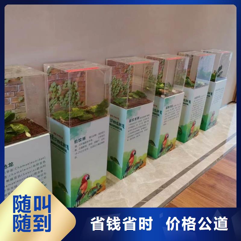 马戏团/羊驼-表演羊驼租赁好评度高