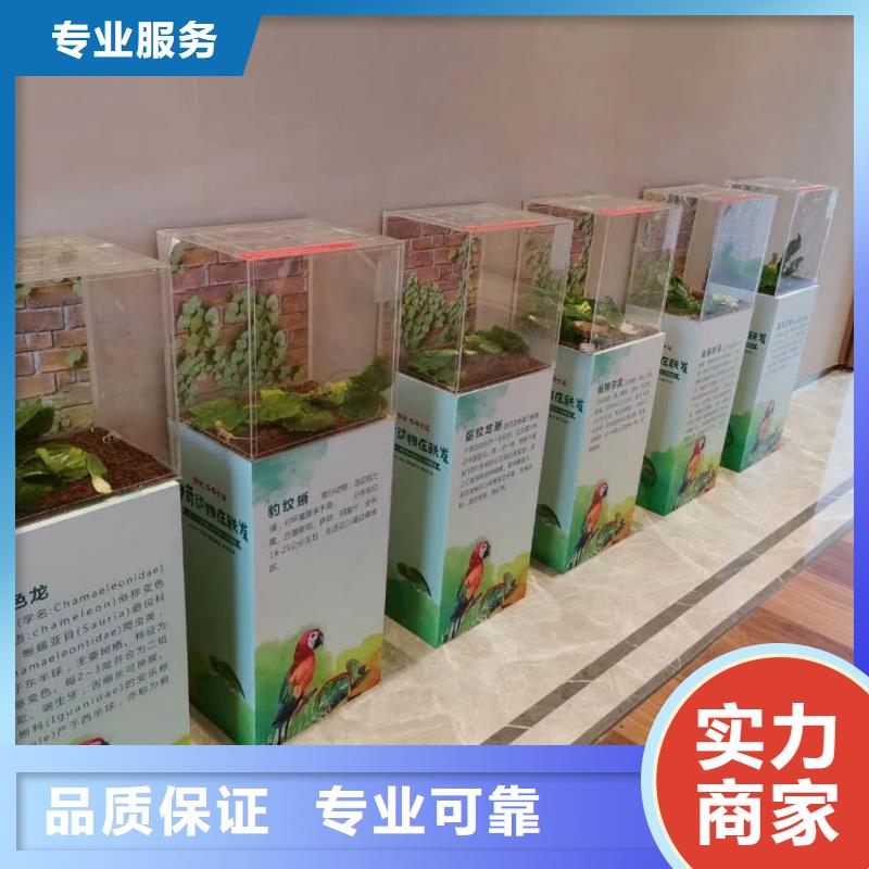马戏团/羊驼企鹅租赁品质卓越