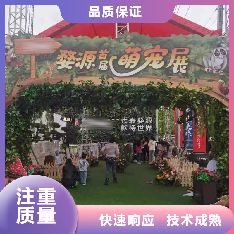 【马戏团/羊驼【出租海狮表演】】