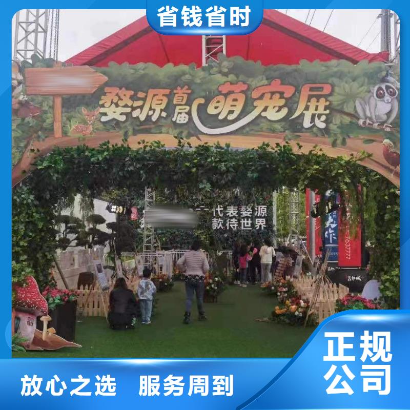 大飞轮表演出租