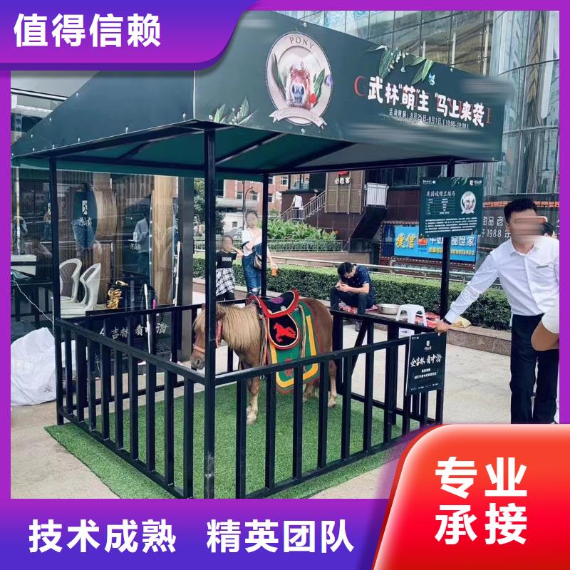 马戏团/羊驼_海狮表演出租比同行便宜