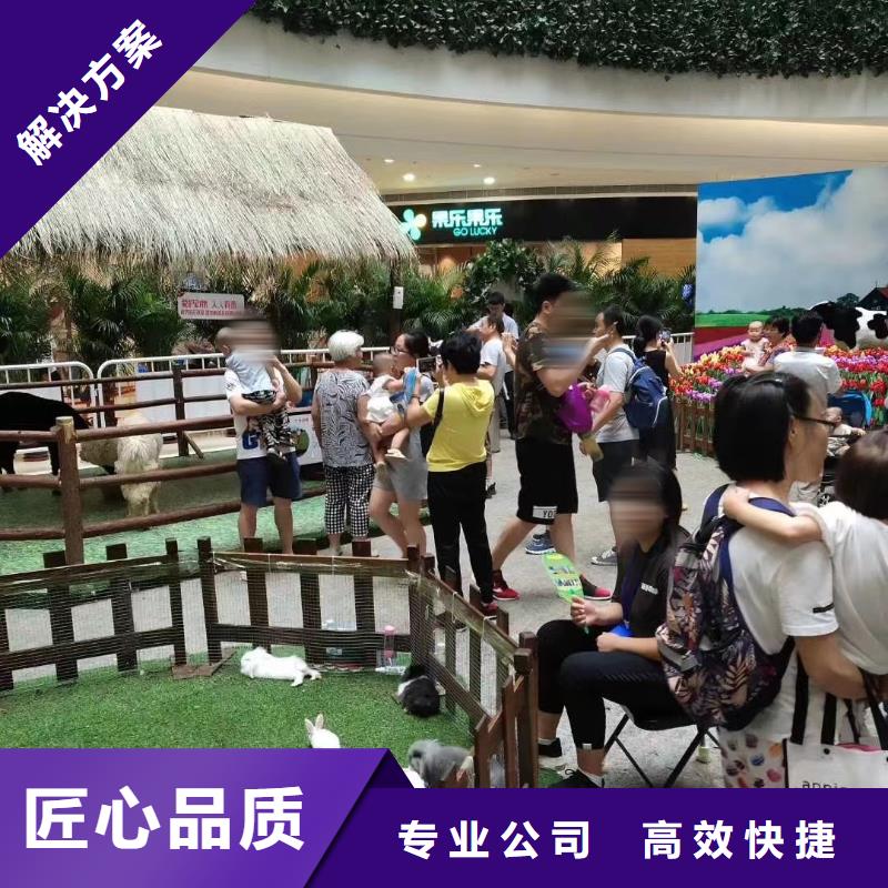 马戏团/羊驼美人鱼表演出租全市24小时服务