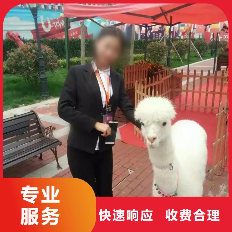 马戏团/羊驼【美人鱼出租演出】讲究信誉