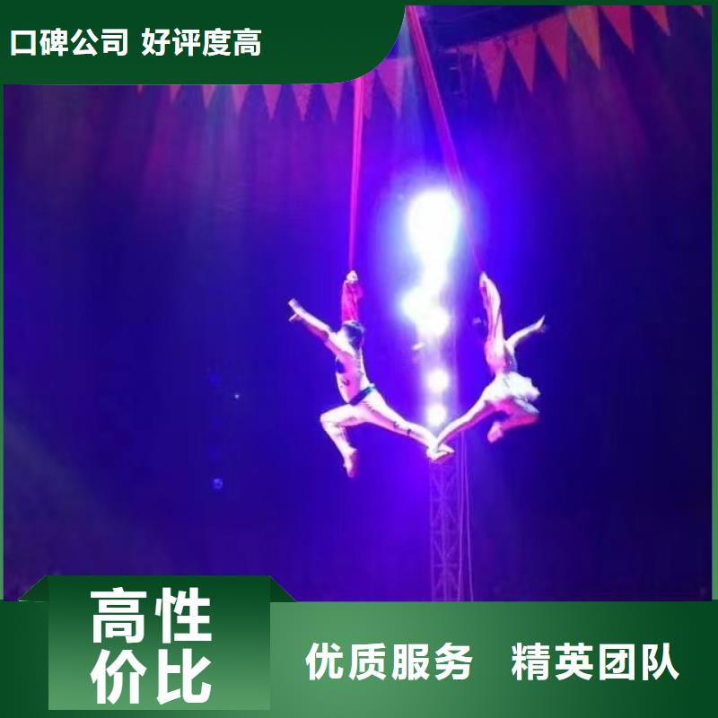 马戏团/羊驼杂技表演租赁服务品质服务