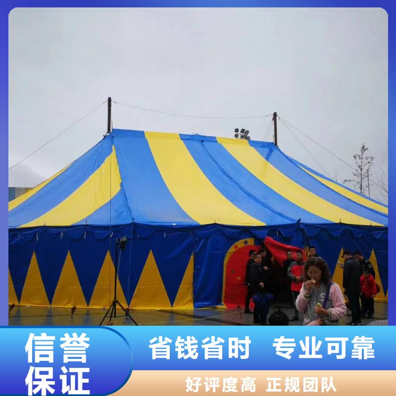 马戏团/羊驼_【海狮表演租赁】专业可靠