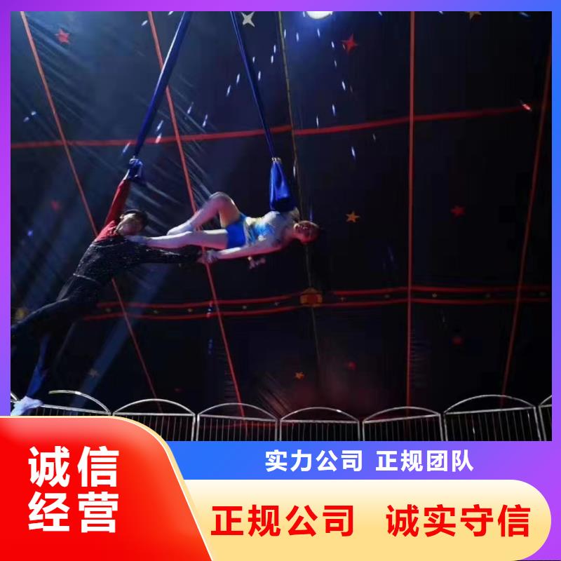 马戏团/羊驼杂技表演租赁服务品质服务