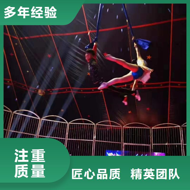 马戏团/羊驼-【企鹅演出】资质齐全