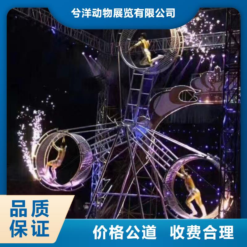 马戏团/羊驼鹦鹉表演出租质优价廉
