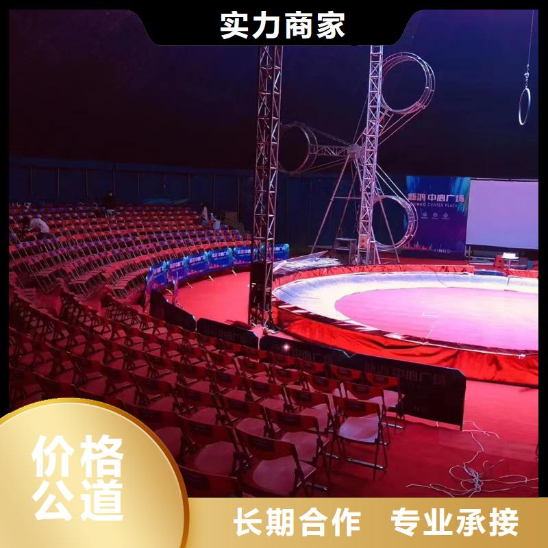 马戏团/羊驼 动物展览秀一对一服务