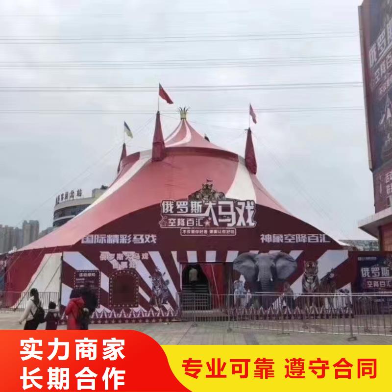 马戏团/羊驼【出租海狮表演】专业品质