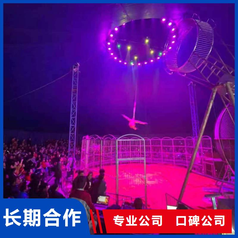 哪里有租赁动物的