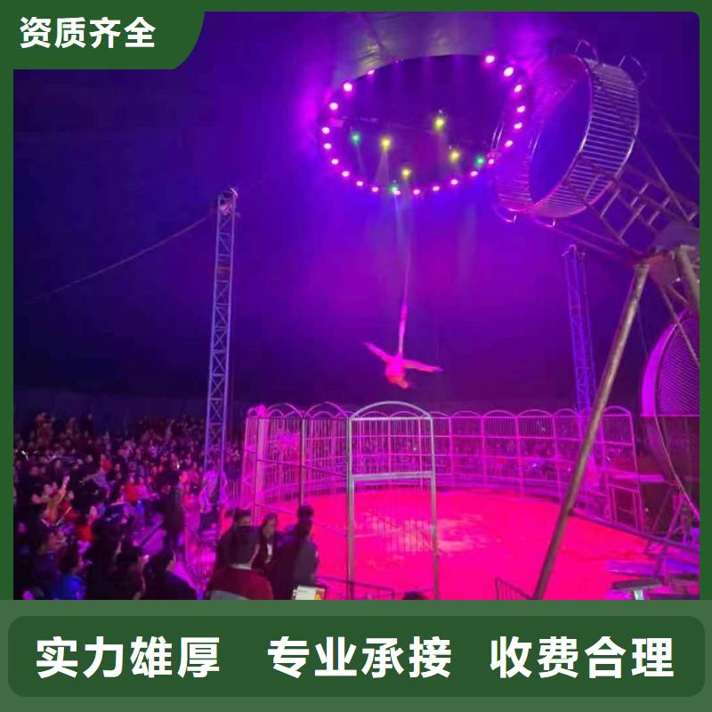 马戏团/羊驼-小马戏出租2025公司