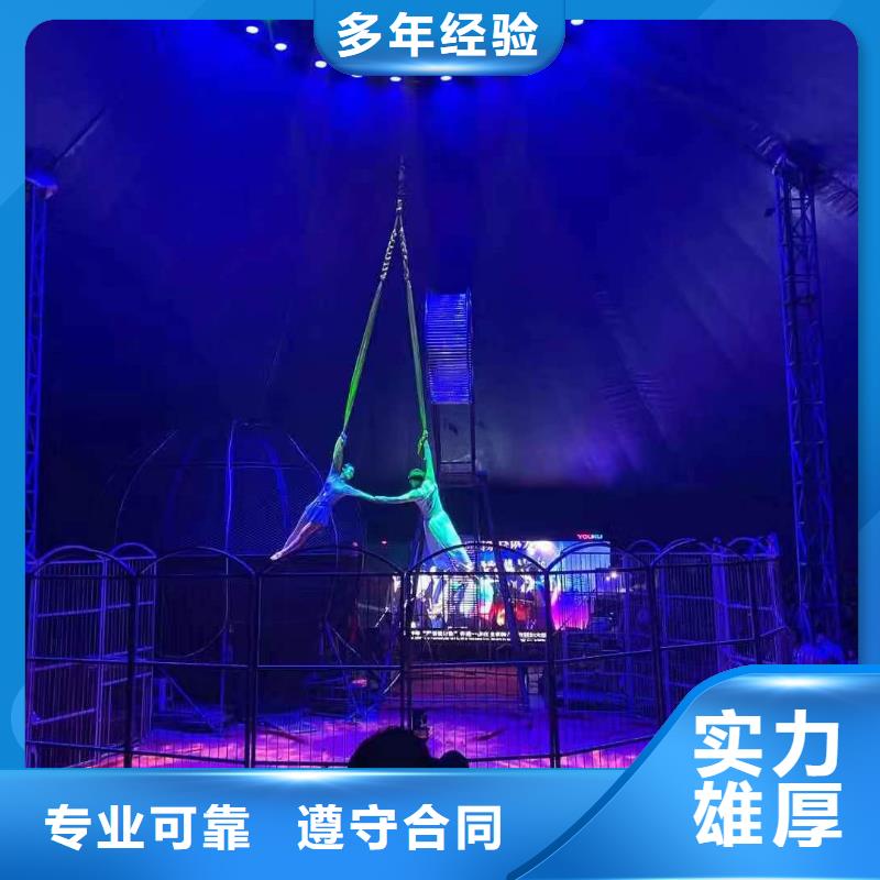 马戏团/羊驼【美人鱼出租演出】讲究信誉