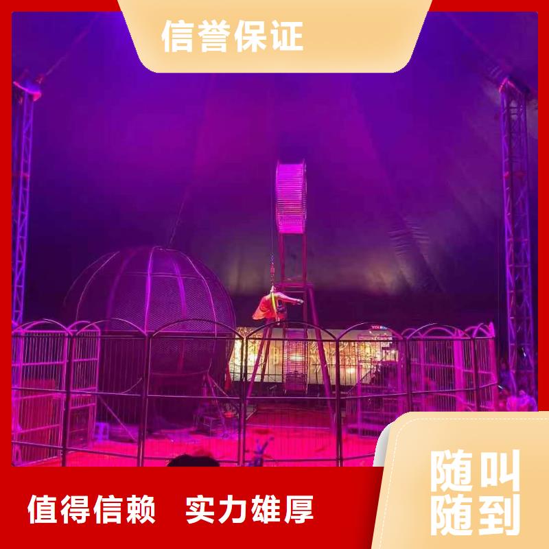 【马戏团/羊驼】-海狮表演出租实力商家|文圣|宏伟|阜新|沈阳|盘锦|营口厂家