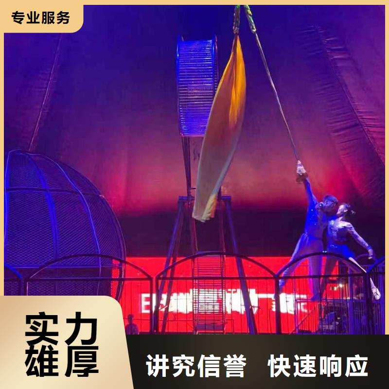 【马戏团/羊驼】【海狮表演】专业服务