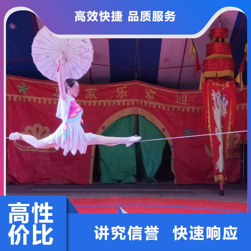 马戏团/羊驼-【企鹅表演出租】匠心品质