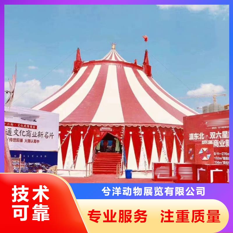【马戏团/羊驼】-海狮表演出租实力商家|文圣|宏伟|阜新|沈阳|盘锦|营口厂家