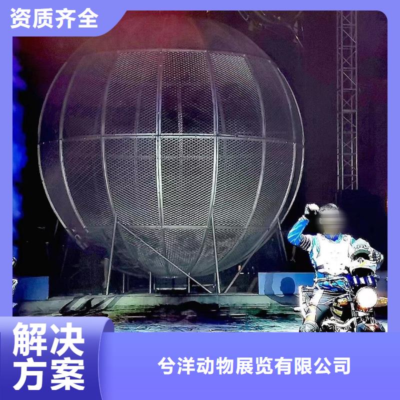 马戏团/羊驼_海狮表演出租比同行便宜