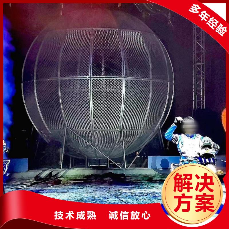 【马戏团/羊驼】-海狮表演出租实力商家|文圣|宏伟|阜新|沈阳|盘锦|营口厂家
