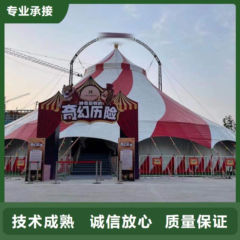 马戏团/羊驼_海豚表演价格公道