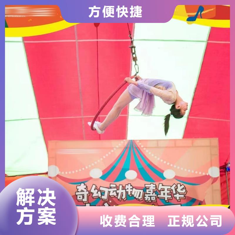 马戏团/羊驼_海豚表演价格公道
