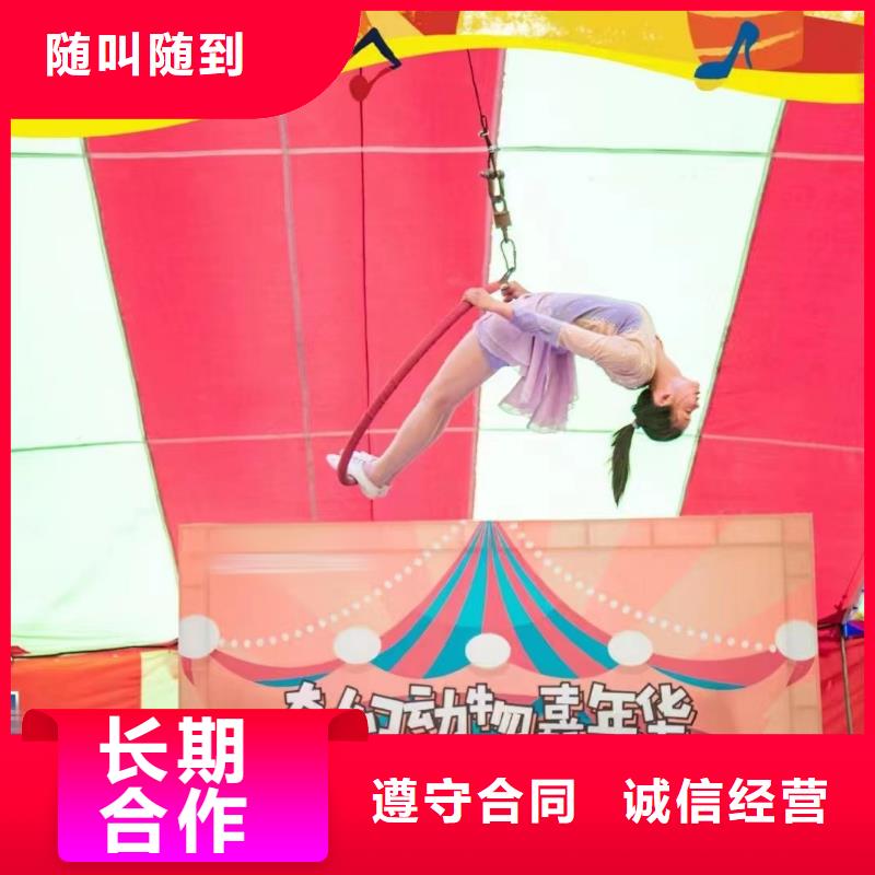 马戏团/羊驼-美人鱼表演出租服务至上